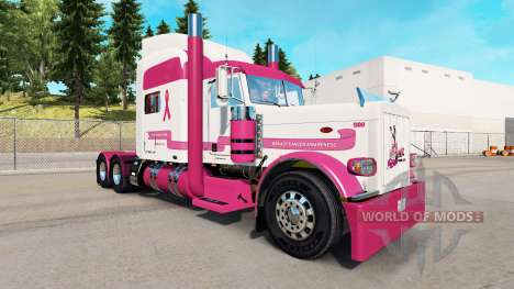 La peau de Camionnage pour un Remède pour le cam pour American Truck Simulator