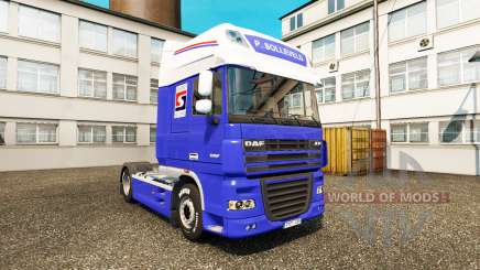 Le P. Solleveld de Transport de la peau pour DAF camion pour Euro Truck Simulator 2