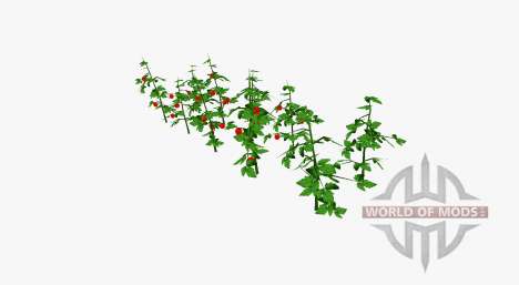 Tomate buissons pour Farming Simulator 2017