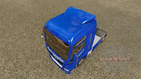 Nessel Transporte skin für den MAN-LKW für Euro Truck Simulator 2