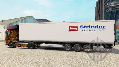 La peau Strieder sur la semi-remorque-le réfrigé pour Euro Truck Simulator 2