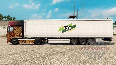 La peau du Tmg de Loudéac sur semi pour Euro Truck Simulator 2