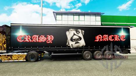 La peau Crasy Trans Logistique v2.0 pour les rem pour Euro Truck Simulator 2