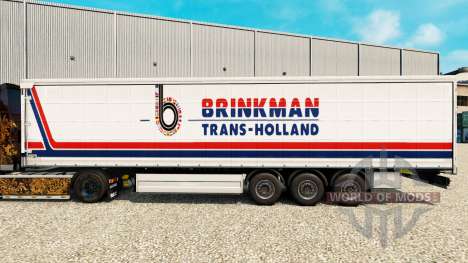 Haut Brinkman auf einen Vorhang semi-trailer für Euro Truck Simulator 2