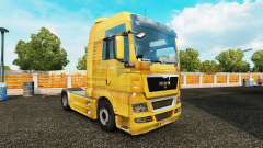 La peau de la Saleté sur le camion de l'HOMME pour Euro Truck Simulator 2