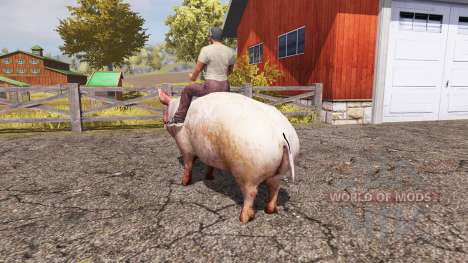 Schwein für Farming Simulator 2013