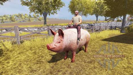 Schwein v2.0 für Farming Simulator 2013