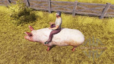 Cochon v2.0 pour Farming Simulator 2013