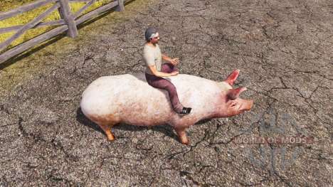 Schwein für Farming Simulator 2013
