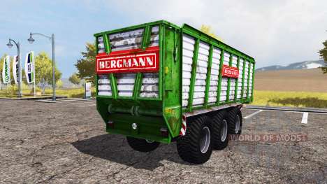 BERGMANN HTW 65 pour Farming Simulator 2013