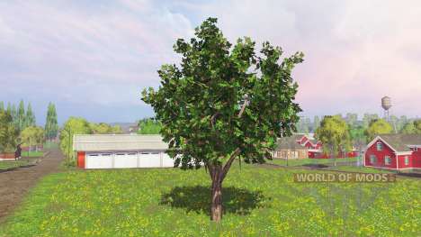 Fruit and berry trees v0.9 für Farming Simulator 2015