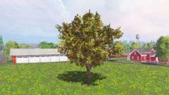 Fruit and berry trees v0.9 für Farming Simulator 2015