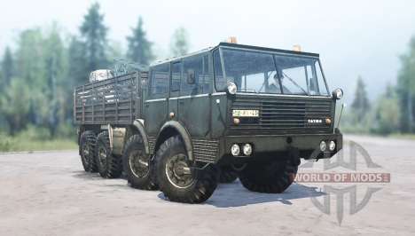 Tatra T813 pour Spintires MudRunner