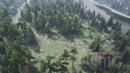 The Forest Roads v1.01 pour Spin Tires