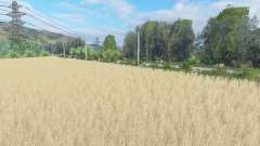 Imaginary Farm für Farming Simulator 2015