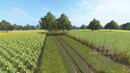 Borkowice pour Farming Simulator 2017