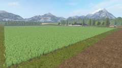 Collines d'or v1.1 pour Farming Simulator 2017