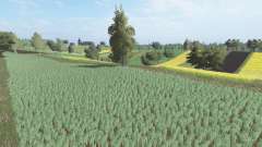 Czysta pour Farming Simulator 2017