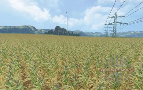 Corn Fever pour Farming Simulator 2015