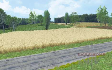 Biedrzychowice pour Farming Simulator 2015