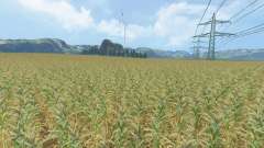 Corn Fever v1.2 für Farming Simulator 2015