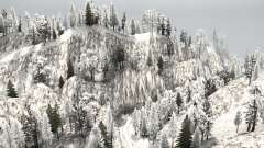 Snow Ridge Logging für MudRunner