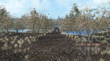 Swamp pour Farming Simulator 2015