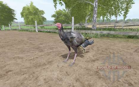 La turquie pour Farming Simulator 2017