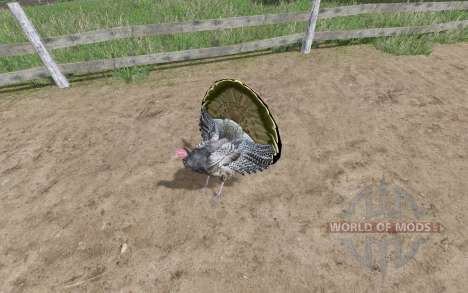 La turquie pour Farming Simulator 2017