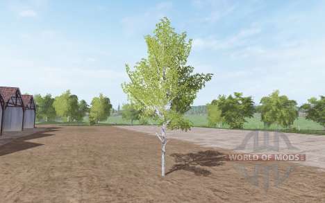 Abgeholzte Birke für Farming Simulator 2017