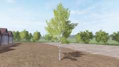 Abgeholzte Birke v1.1 für Farming Simulator 2017