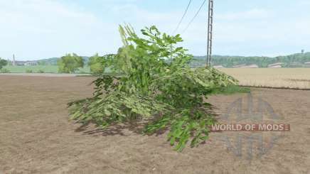 Un grand arbuste pour Farming Simulator 2017