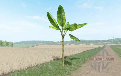 Bananen-Baum für Farming Simulator 2017