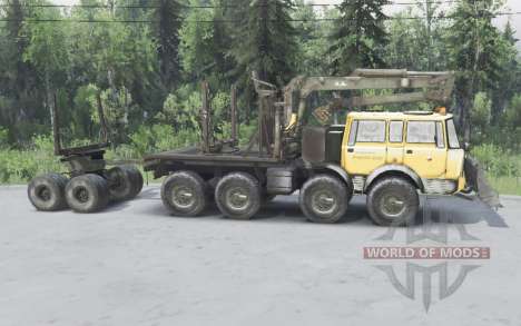 Tatra T813 pour Spin Tires
