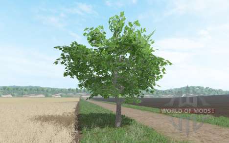 Des arbres fruitiers pour Farming Simulator 2017