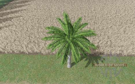Coconut tree für Farming Simulator 2017