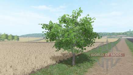 Des arbres fruitiers pour Farming Simulator 2017