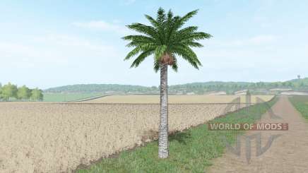Arbre de noix de coco pour Farming Simulator 2017