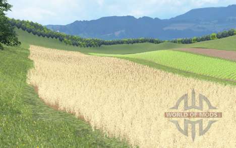 Biczycka Wies pour Farming Simulator 2015