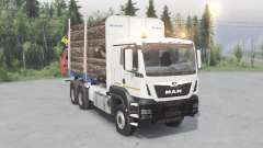 MAN TGS 33.480 pour Spin Tires