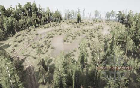 For the pour Spintires MudRunner