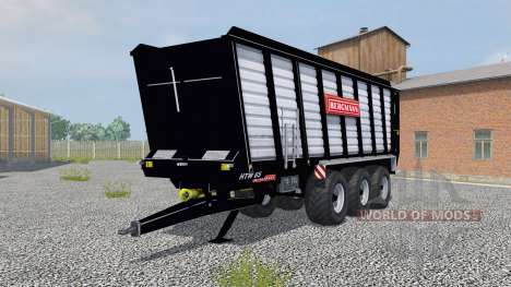 Bergmann HTW 65 pour Farming Simulator 2013