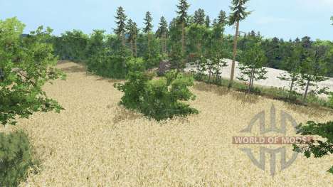 Radzany für Farming Simulator 2015