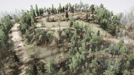 Somewhere In The Wood v1.1 pour Spintires MudRunner