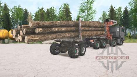 MAN TGS 8x8 pour Spintires MudRunner