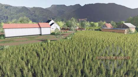 Normalna Wies pour Farming Simulator 2017