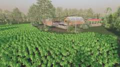 Staropolska Wies für Farming Simulator 2017