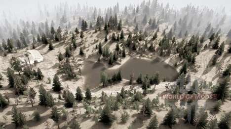 Bronislaw Forest pour Spintires MudRunner