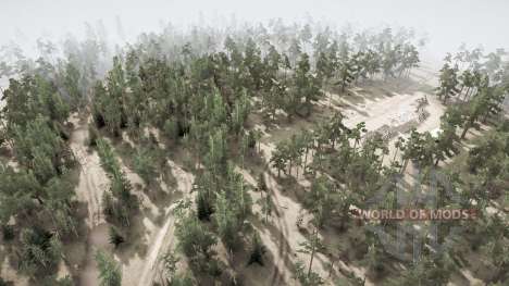 Forest Roads 2021 pour Spintires MudRunner