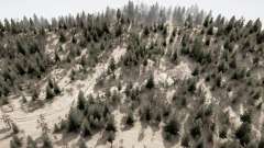 Bronislaw Forest für MudRunner